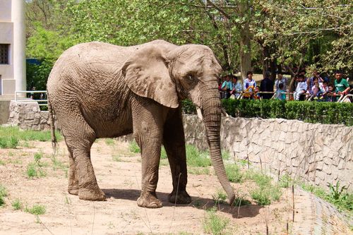 2.北京動物園