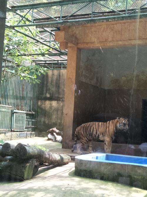 3、柳州市動物園