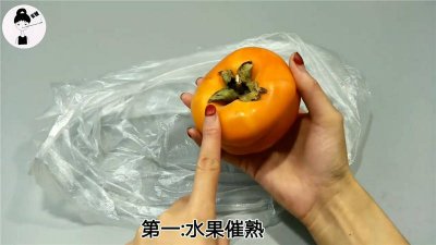 ?柿子怎么催熟最簡單的方法視頻 快速催熟柿子視頻