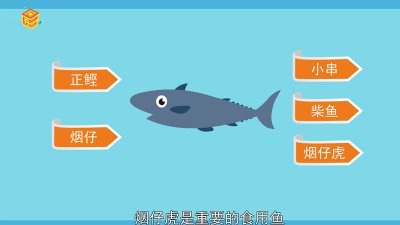 ?鰤是什么魚「かすべ是什么魚」