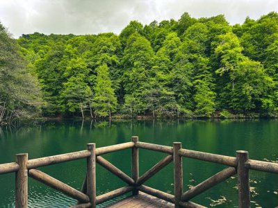 ?東三省的旅游景點有哪些(東三省旅游景區)